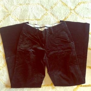 Ann Taylor suede like work pant